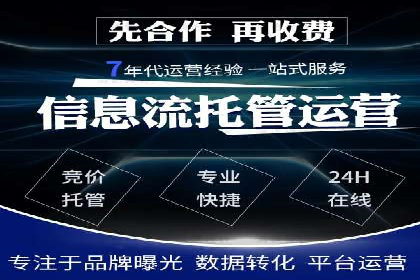 深入剖析SEM公司成功案例：数据驱动的广告策略